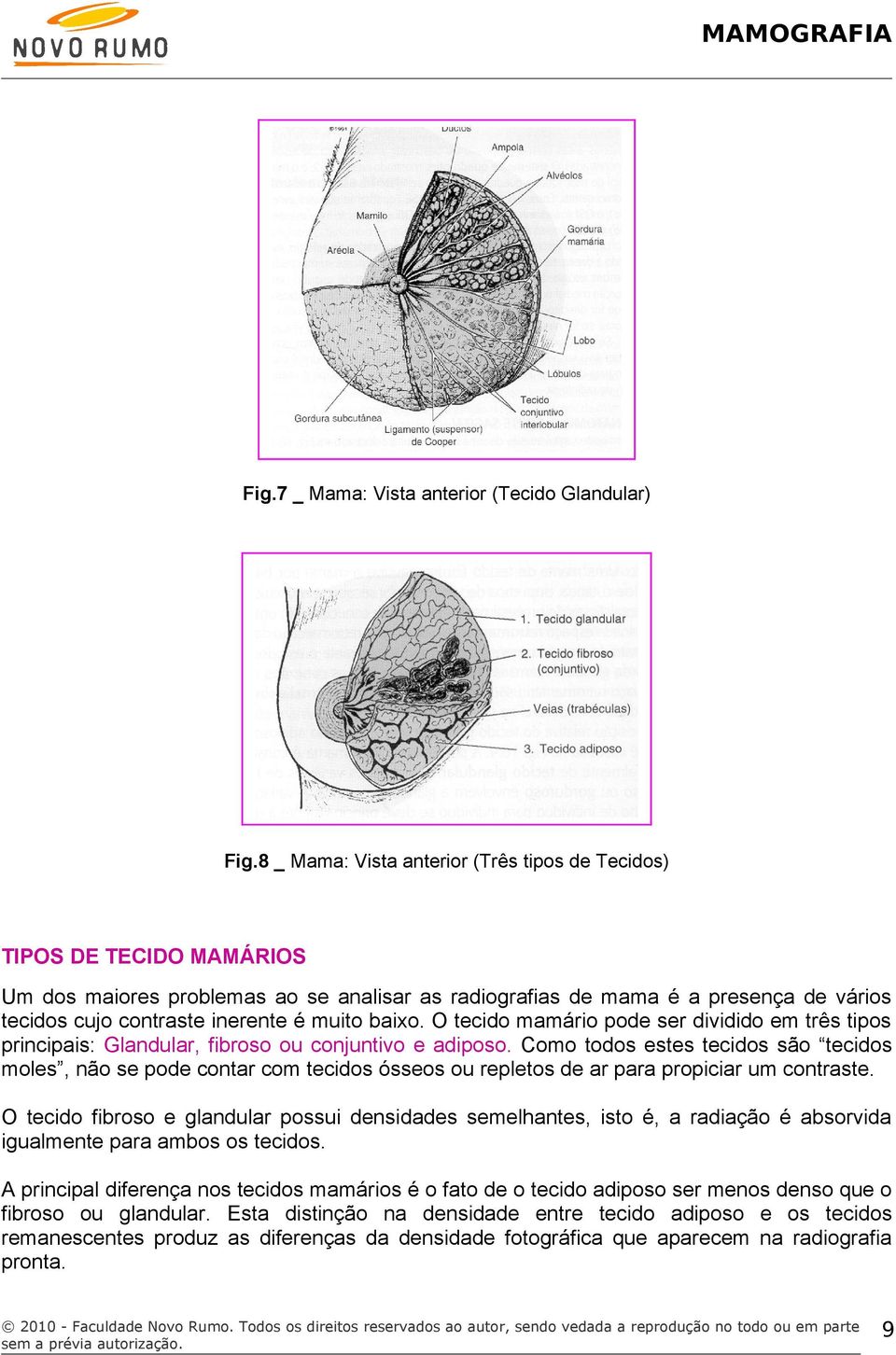 muito baixo. O tecido mamário pode ser dividido em três tipos principais: Glandular, fibroso ou conjuntivo e adiposo.