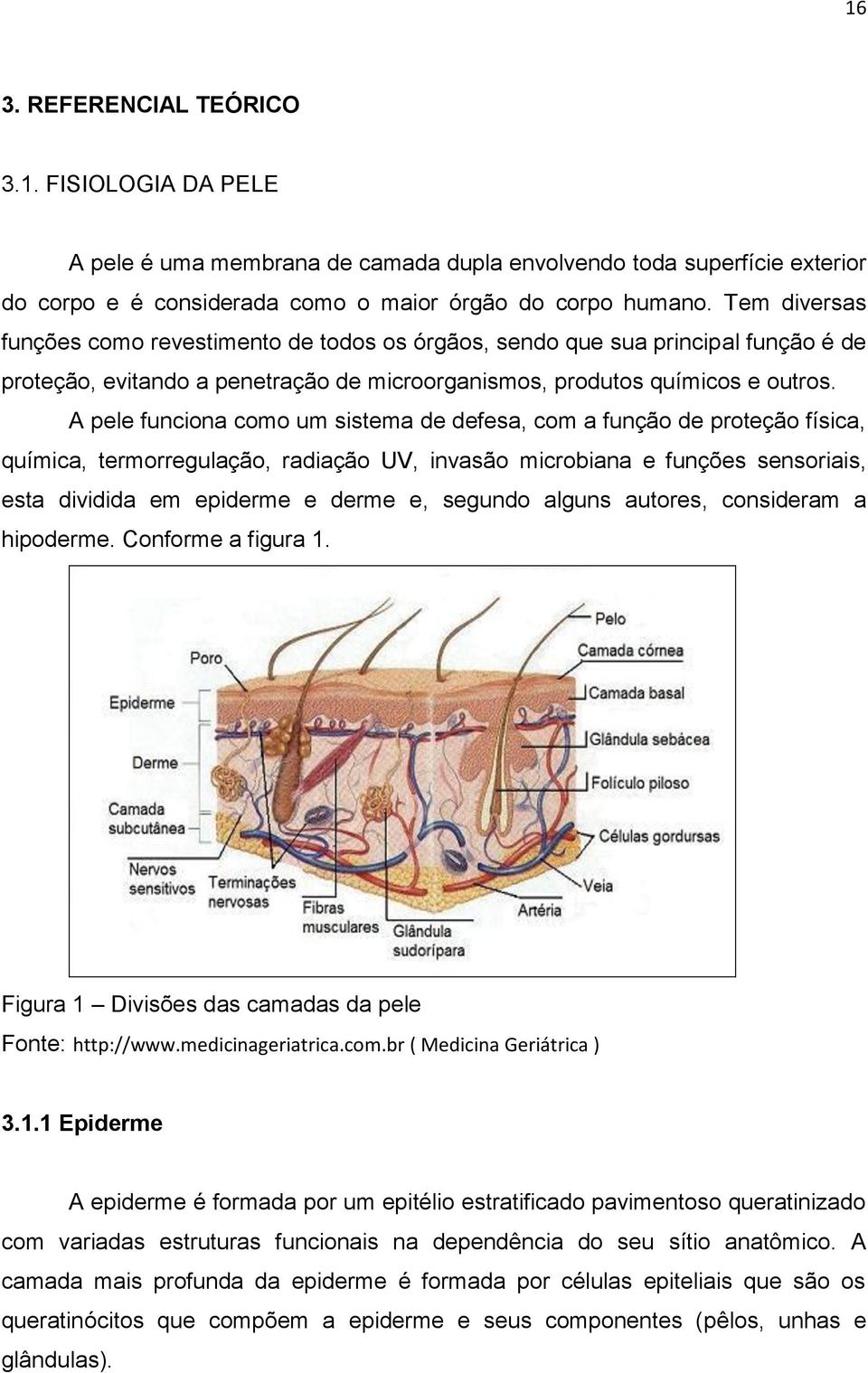 A pele funciona como um sistema de defesa, com a função de proteção física, química, termorregulação, radiação UV, invasão microbiana e funções sensoriais, esta dividida em epiderme e derme e,