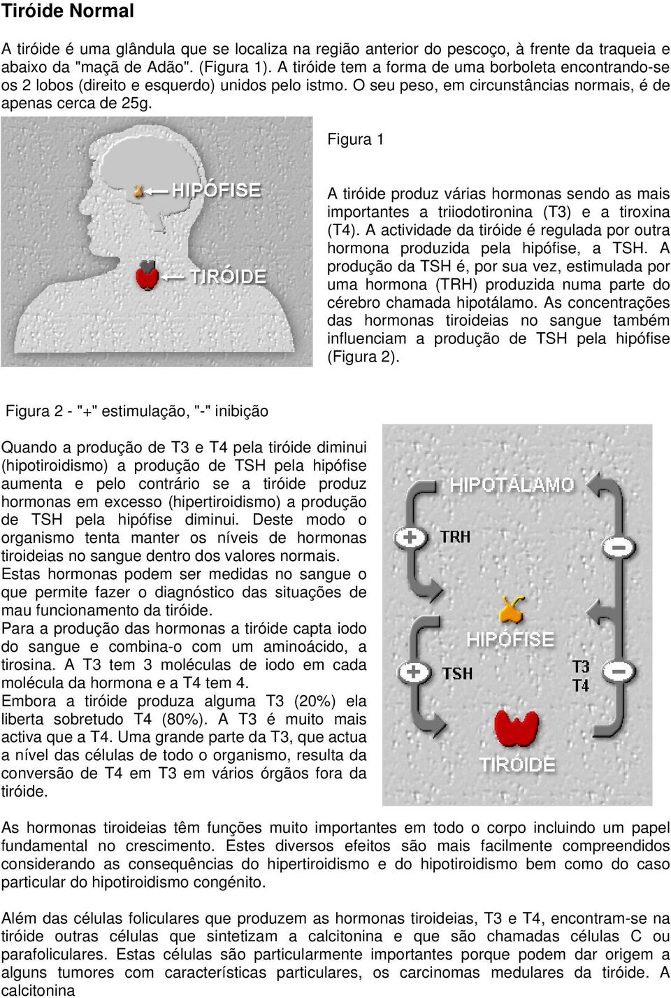 Figura 1 A tiróide produz várias hormonas sendo as mais importantes a triiodotironina (T3) e a tiroxina (T4). A actividade da tiróide é regulada por outra hormona produzida pela hipófise, a TSH.