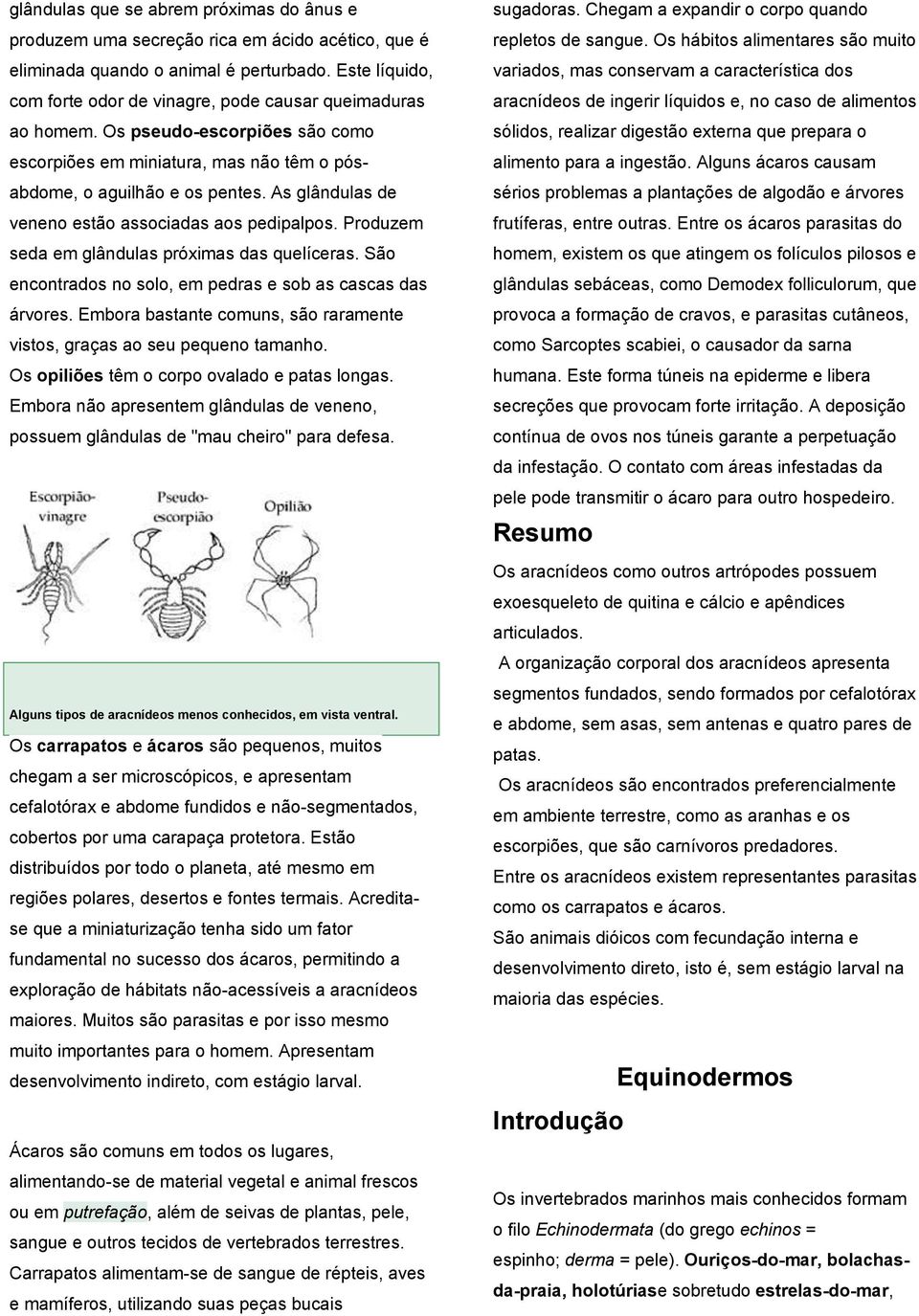 As glândulas de veneno estão associadas aos pedipalpos. Produzem seda em glândulas próximas das quelíceras. São encontrados no solo, em pedras e sob as cascas das árvores.