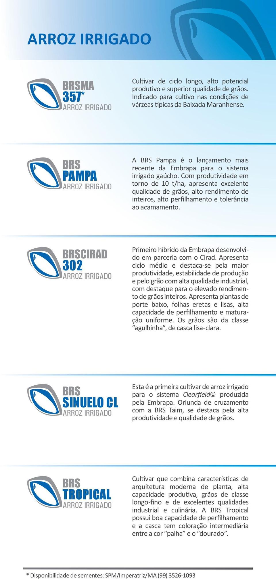 Com produtividade em torno de 10 t/ha, apresenta excelente qualidade de grãos, alto rendimento de inteiros, alto perfilhamento e tolerância ao acamamento.