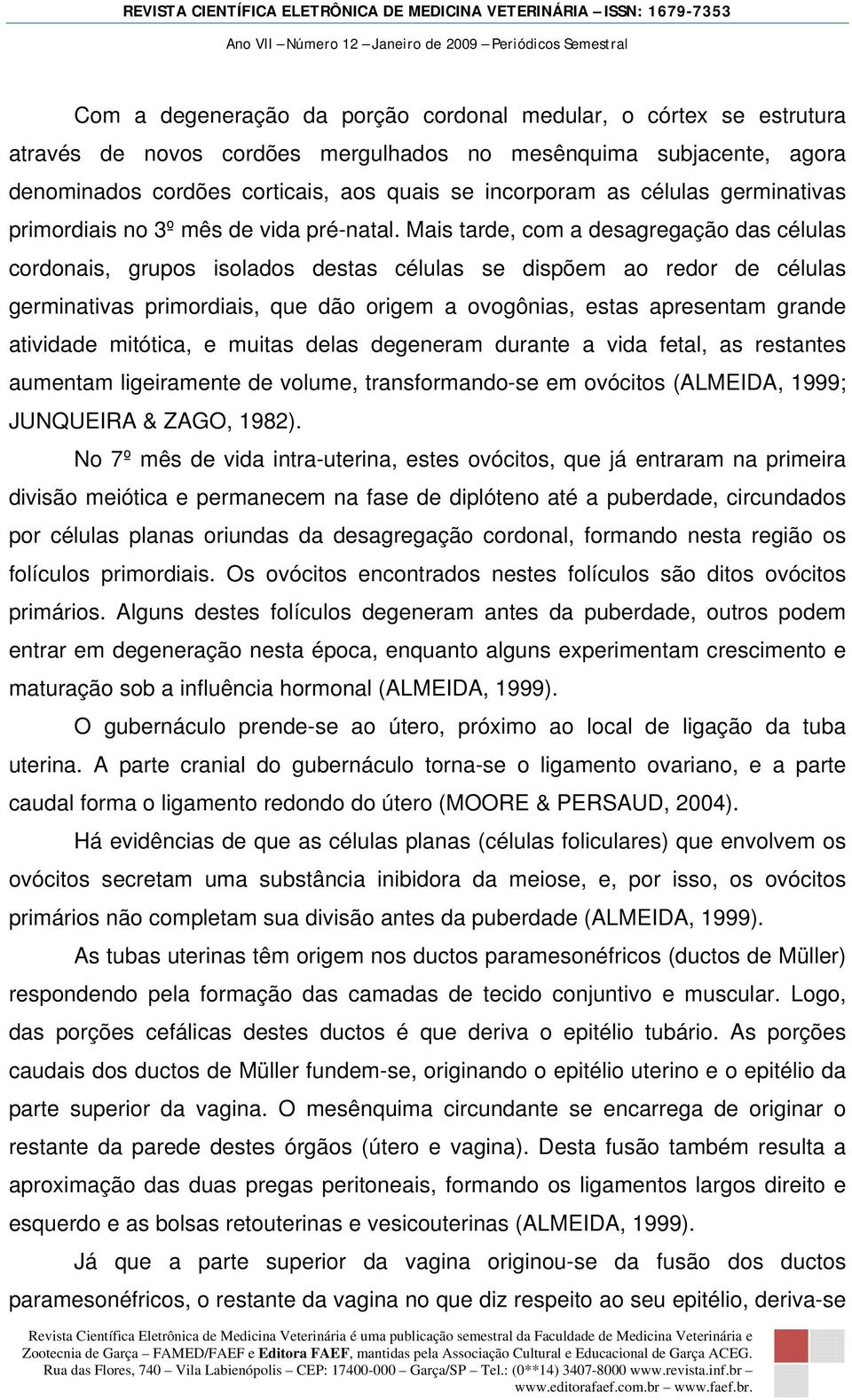 Mais tarde, com a desagregação das células cordonais, grupos isolados destas células se dispõem ao redor de células germinativas primordiais, que dão origem a ovogônias, estas apresentam grande