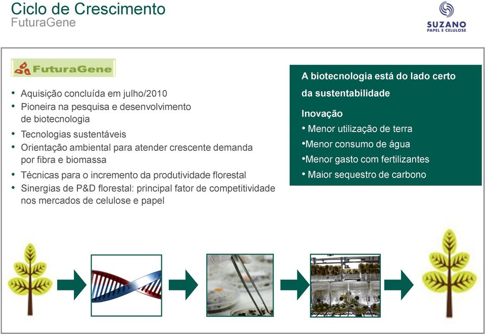 Técnicas para o incremento da produtividade florestal Sinergias de P&D florestal: principal fator de competitividade nos mercados de