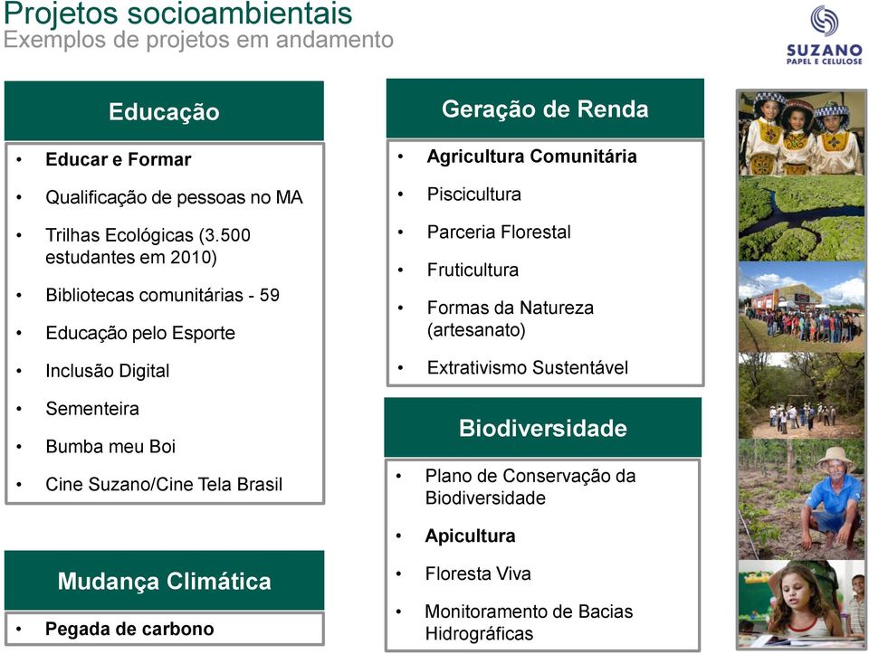 Tela Brasil Geração de Renda Agricultura Comunitária Piscicultura Parceria Florestal Fruticultura Formas da Natureza (artesanato) Extrativismo
