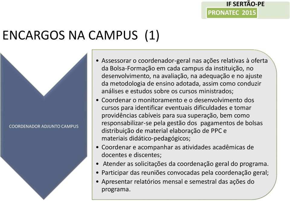 eventuais dificuldades e tomar providências cabíveis para sua superação, bem como responsabilizar-se pela gestão dos pagamentos de bolsas distribuição de material elaboração de PPC e materiais