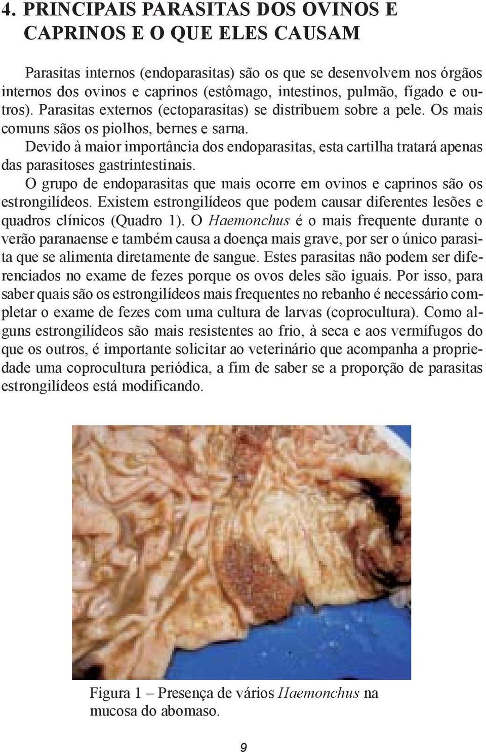 Devido à maior importância dos endoparasitas, esta cartilha tratará apenas das parasitoses gastrintestinais. O grupo de endoparasitas que mais ocorre em ovinos e caprinos são os estrongilídeos.