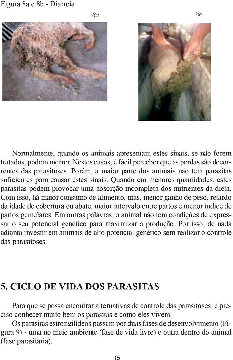 Quando em menores quantidades, estes parasitas podem provocar uma absorção incompleta dos nutrientes da dieta.