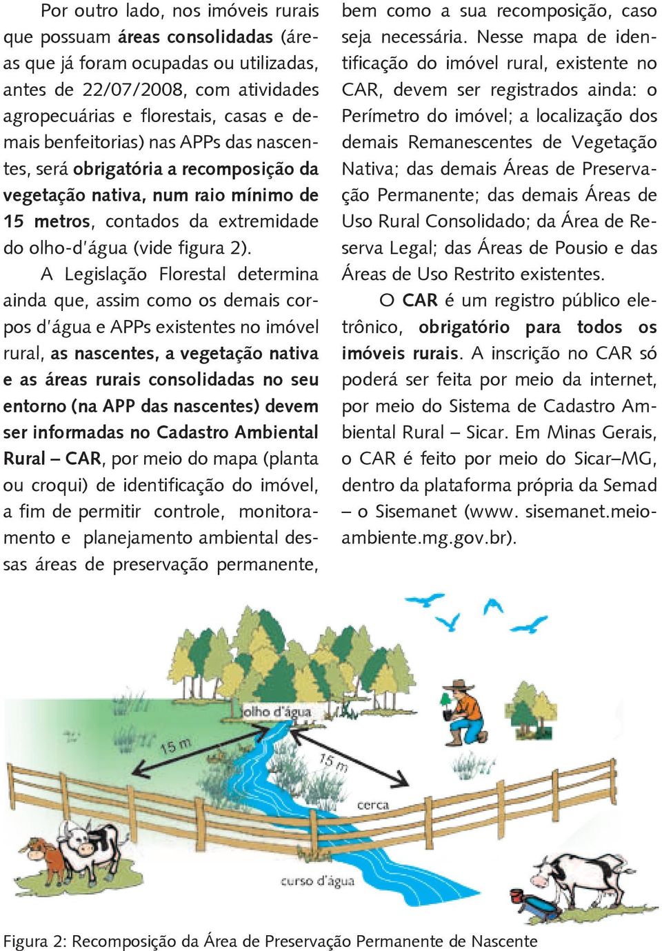 A Legislação Florestal determina ainda que, assim como os demais corpos d água e APPs existentes no imóvel rural, as nascentes, a vegetação nativa e as áreas rurais consolidadas no seu entorno (na