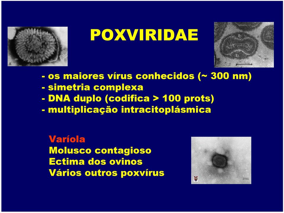 prots) - multiplicação intracitoplásmica Varíola