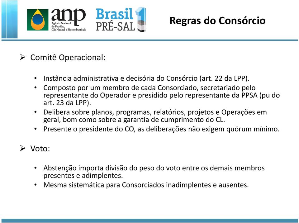 Delibera sobre planos, programas, relatórios, projetos e Operações em geral, bom como sobre a garantia de cumprimento do CL.