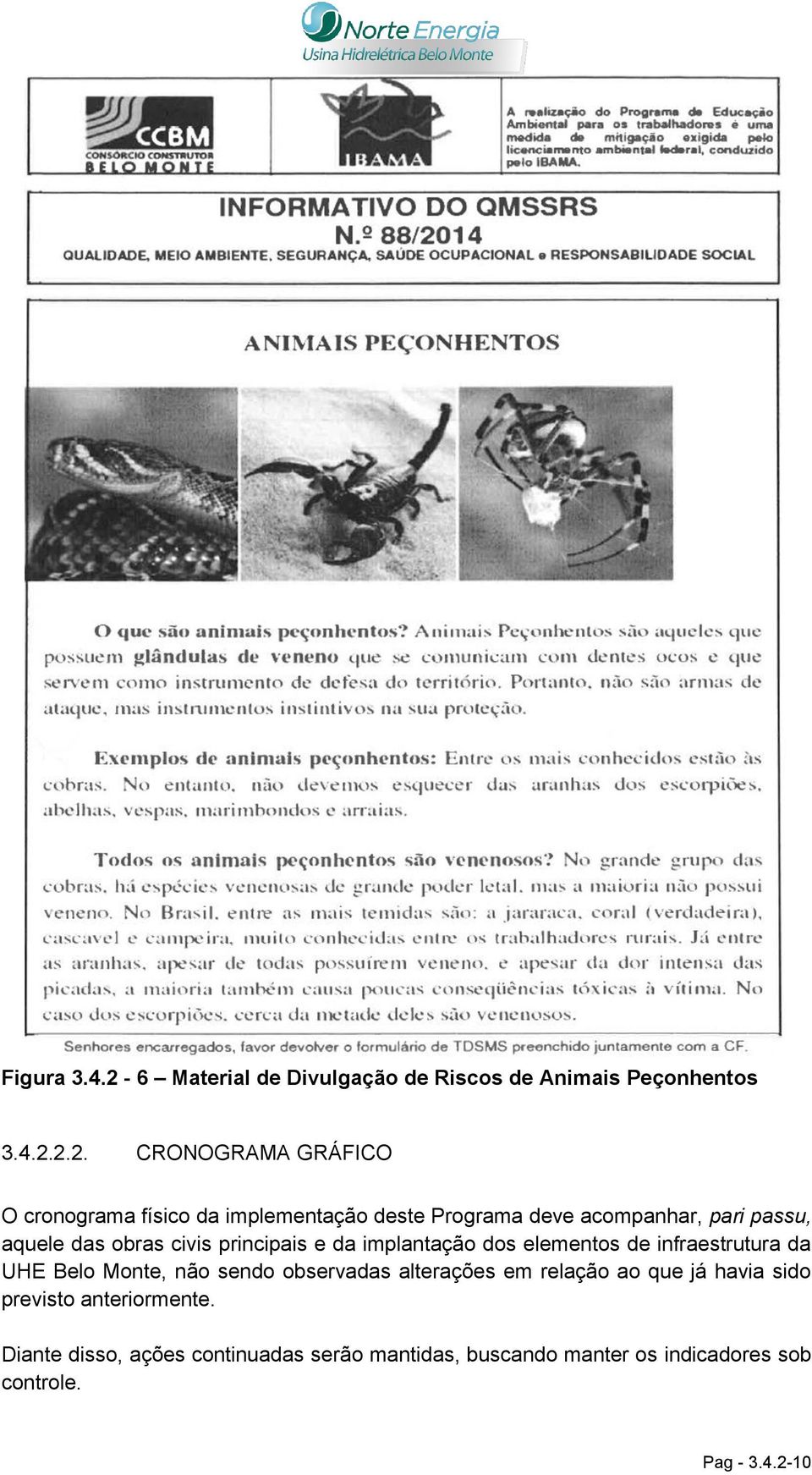 2.2. CRONOGRAMA GRÁFICO O cronograma físico da implementação deste Programa deve acompanhar, pari passu, aquele das