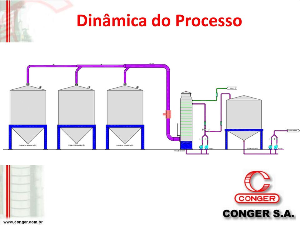 Processo