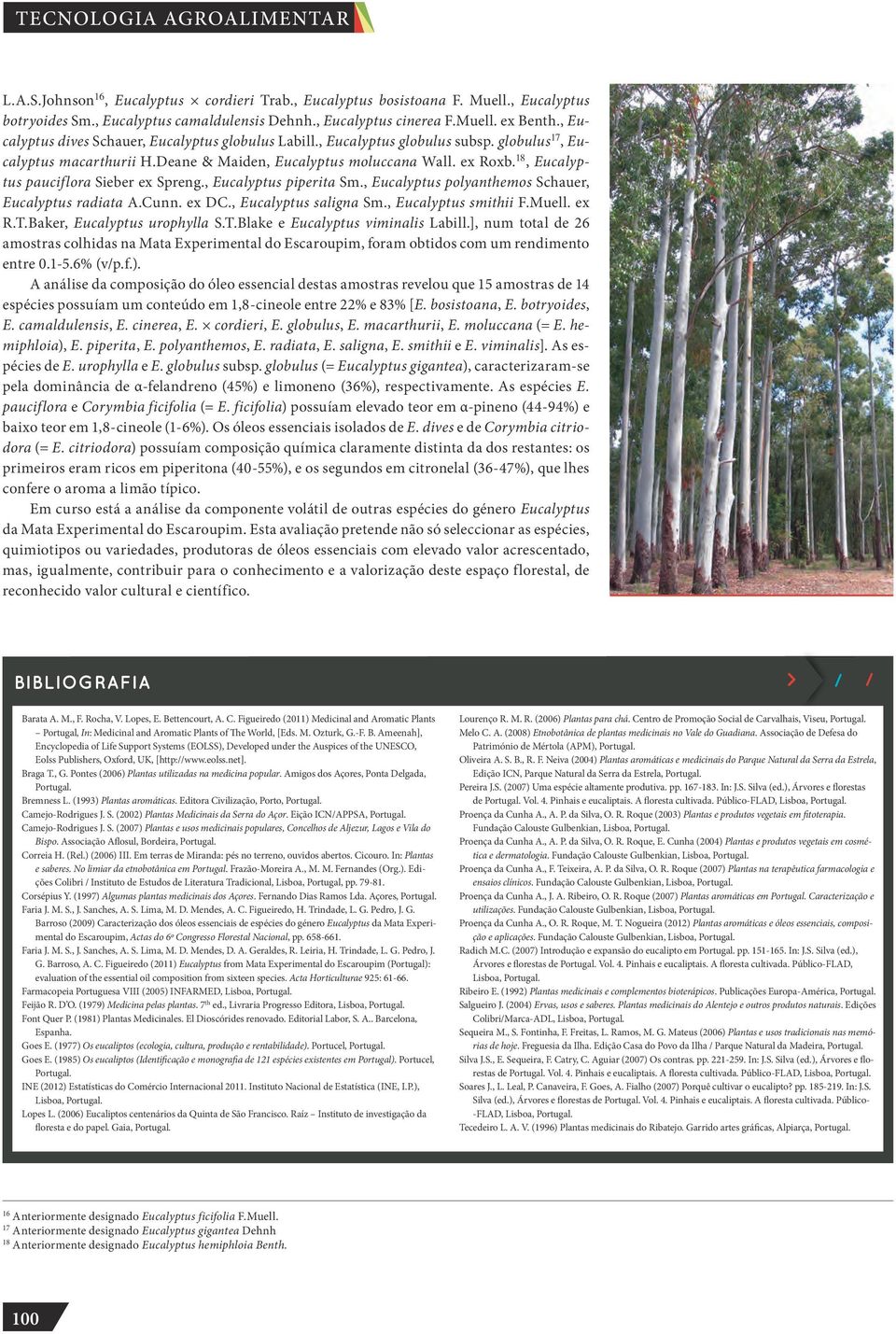 18, Eucalyptus pauciflora Sieber ex Spreng., Eucalyptus piperita Sm., Eucalyptus polyanthemos Schauer, Eucalyptus radiata A.Cunn. ex DC., Eucalyptus saligna Sm., Eucalyptus smithii F.Muell. ex R.T.