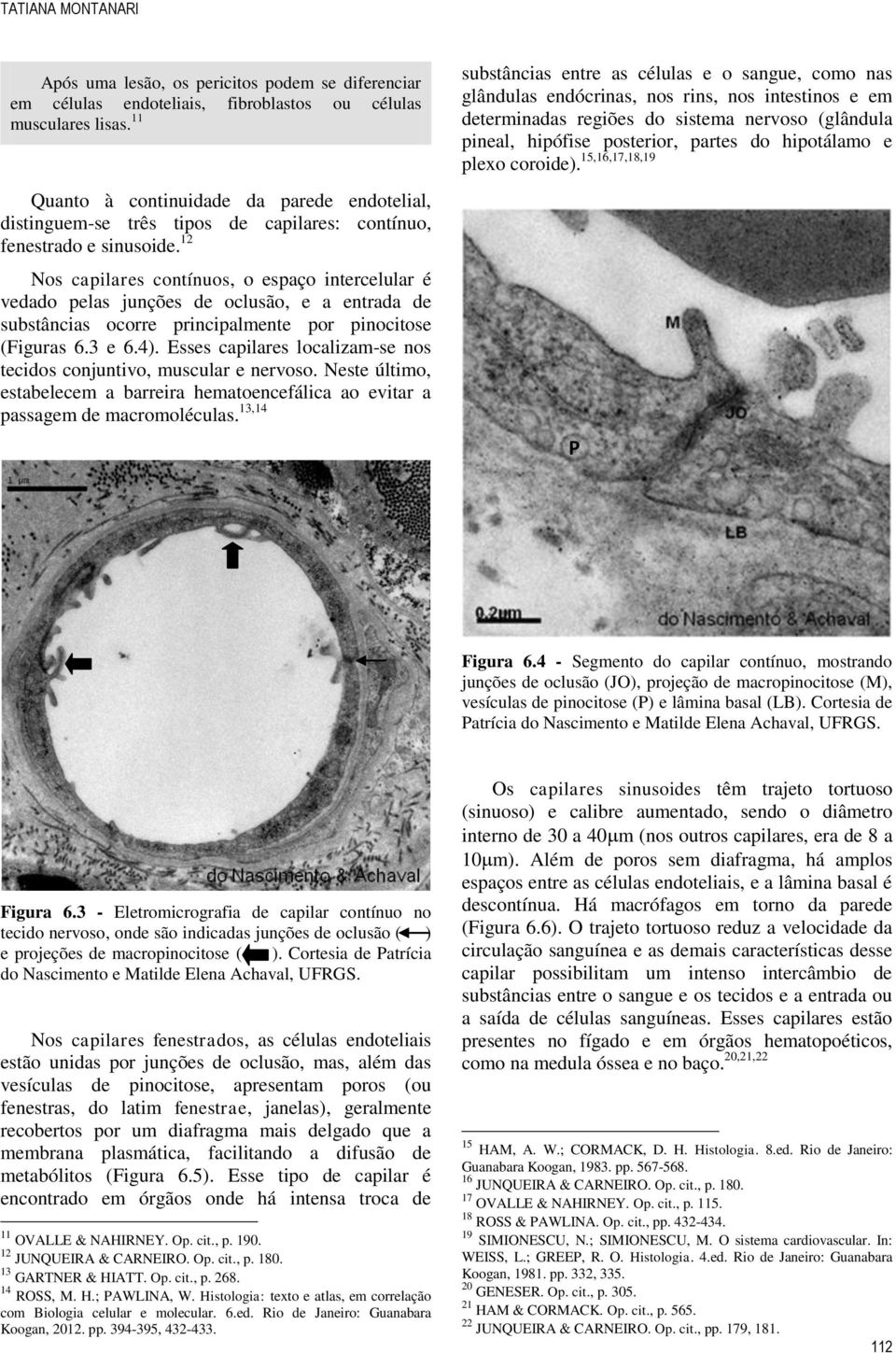 12 Nos capilares contínuos, o espaço intercelular é vedado pelas junções de oclusão, e a entrada de substâncias ocorre principalmente por pinocitose (Figuras 6.3 e 6.4).