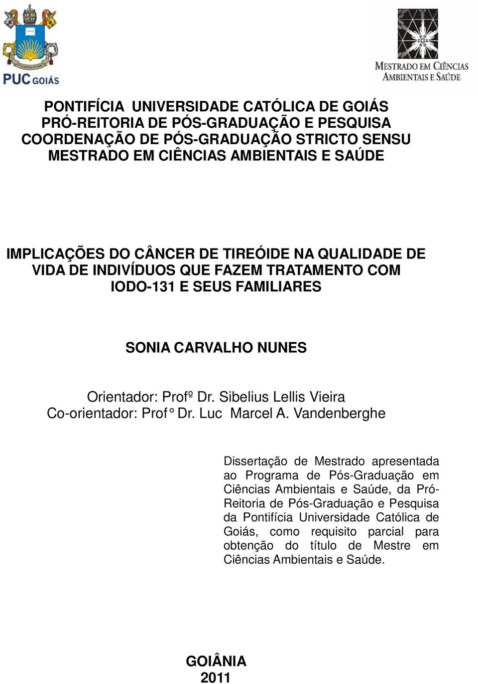 Sibelius Lellis Vieira Co-orientador: Prof Dr. Luc Marcel A.