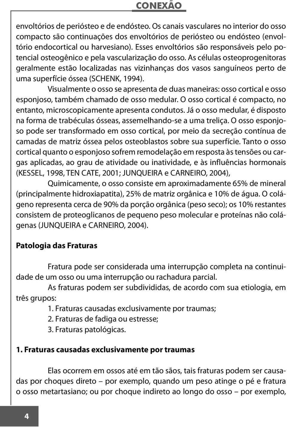 As células osteoprogenitoras geralmente estão localizadas nas vizinhanças dos vasos sanguíneos perto de uma superfície óssea (SCHENK, 1994).