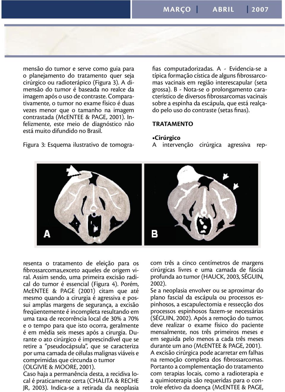 Figura 3: Esquema ilustrativo de tomografias computadorizadas. A - Evidencia-se a típica formação cística de alguns fibrossarcomas vacinais em região interescapular (seta grossa).