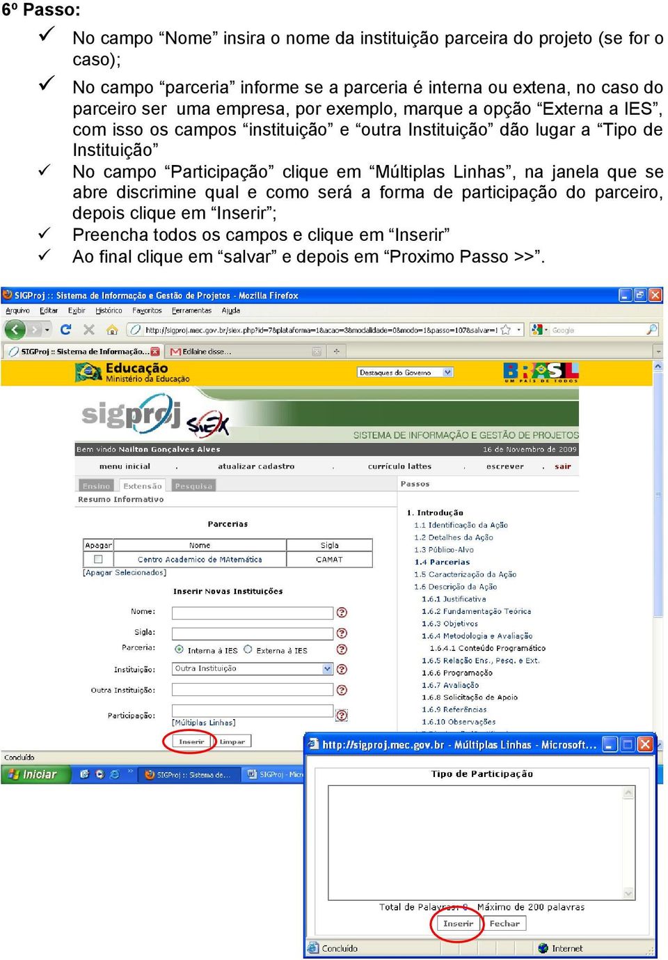 lugar a Tipo de Instituição No campo Participação clique em Múltiplas Linhas, na janela que se abre discrimine qual e como será a forma de