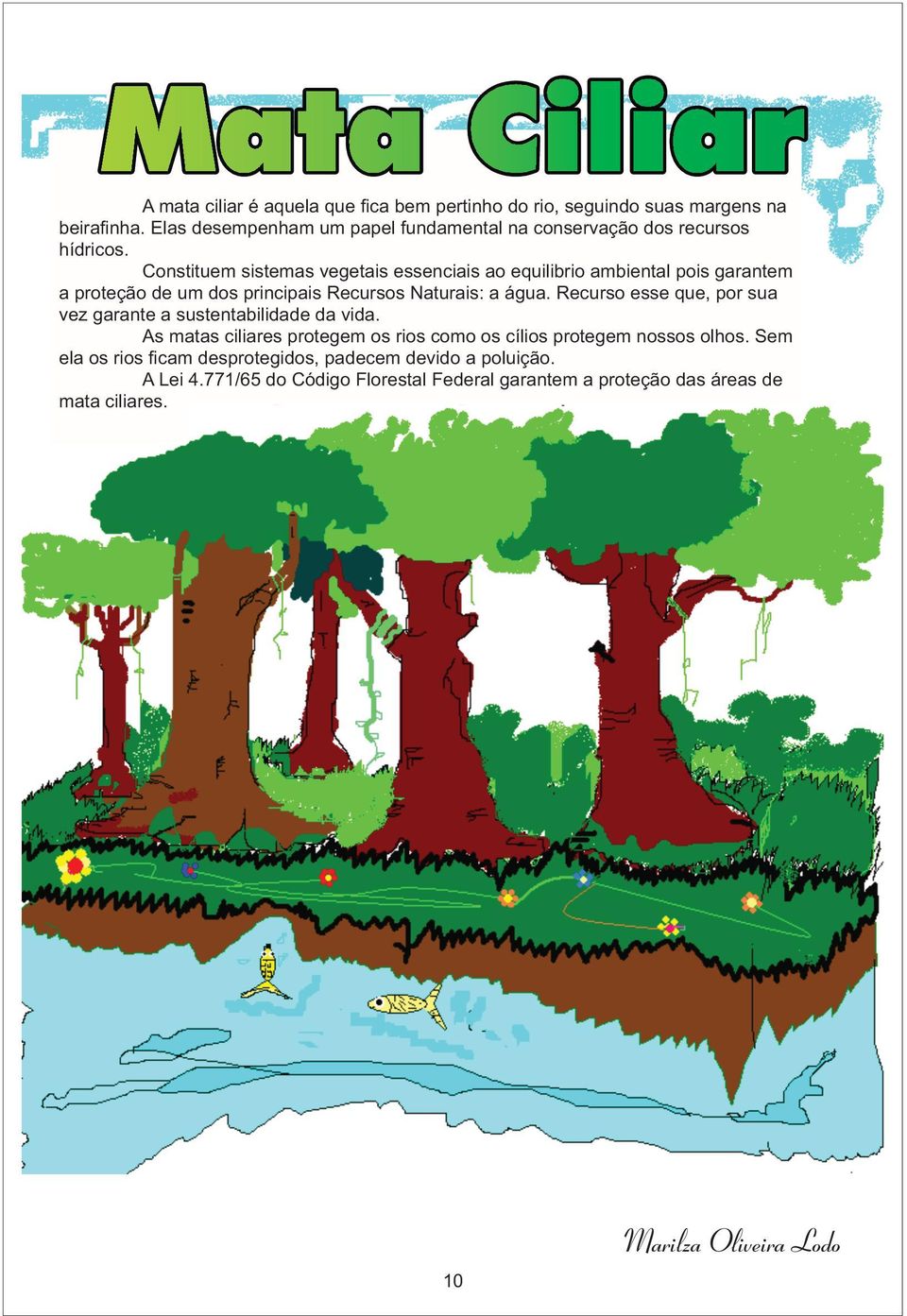 Constituem sistemas vegetais essenciais ao equilibrio ambiental pois garantem a proteção de um dos principais Recursos Naturais: a água.