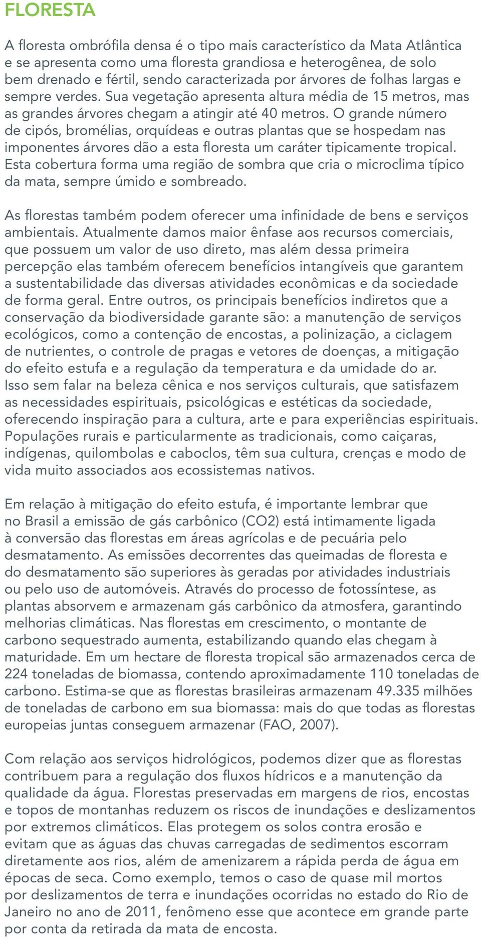 O grande número de cipós, bromélias, orquídeas e outras plantas que se hospedam nas imponentes árvores dão a esta floresta um caráter tipicamente tropical.