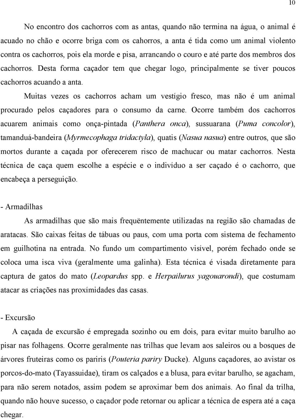 Muitas vezes os cachorros acham um vestígio fresco, mas não é um animal procurado pelos caçadores para o consumo da carne.