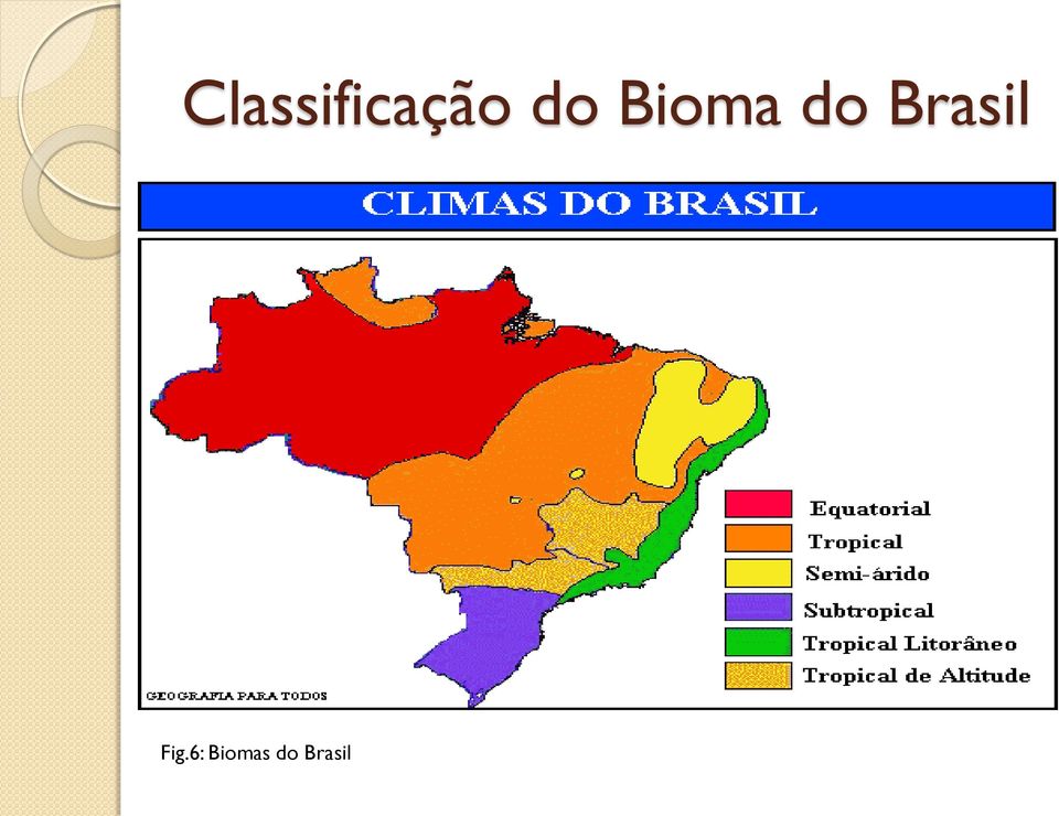 Brasil Fig.