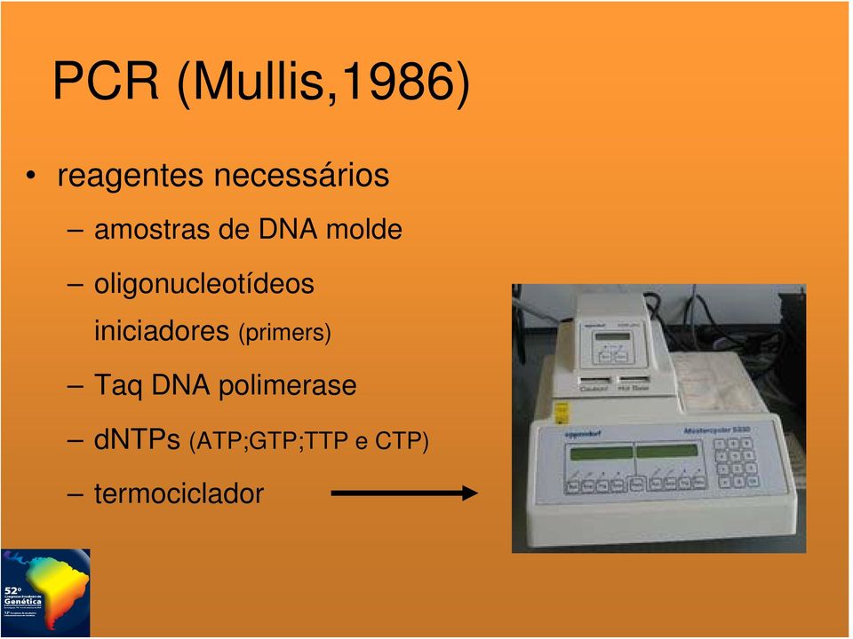 iniciadores (primers) Taq DNA