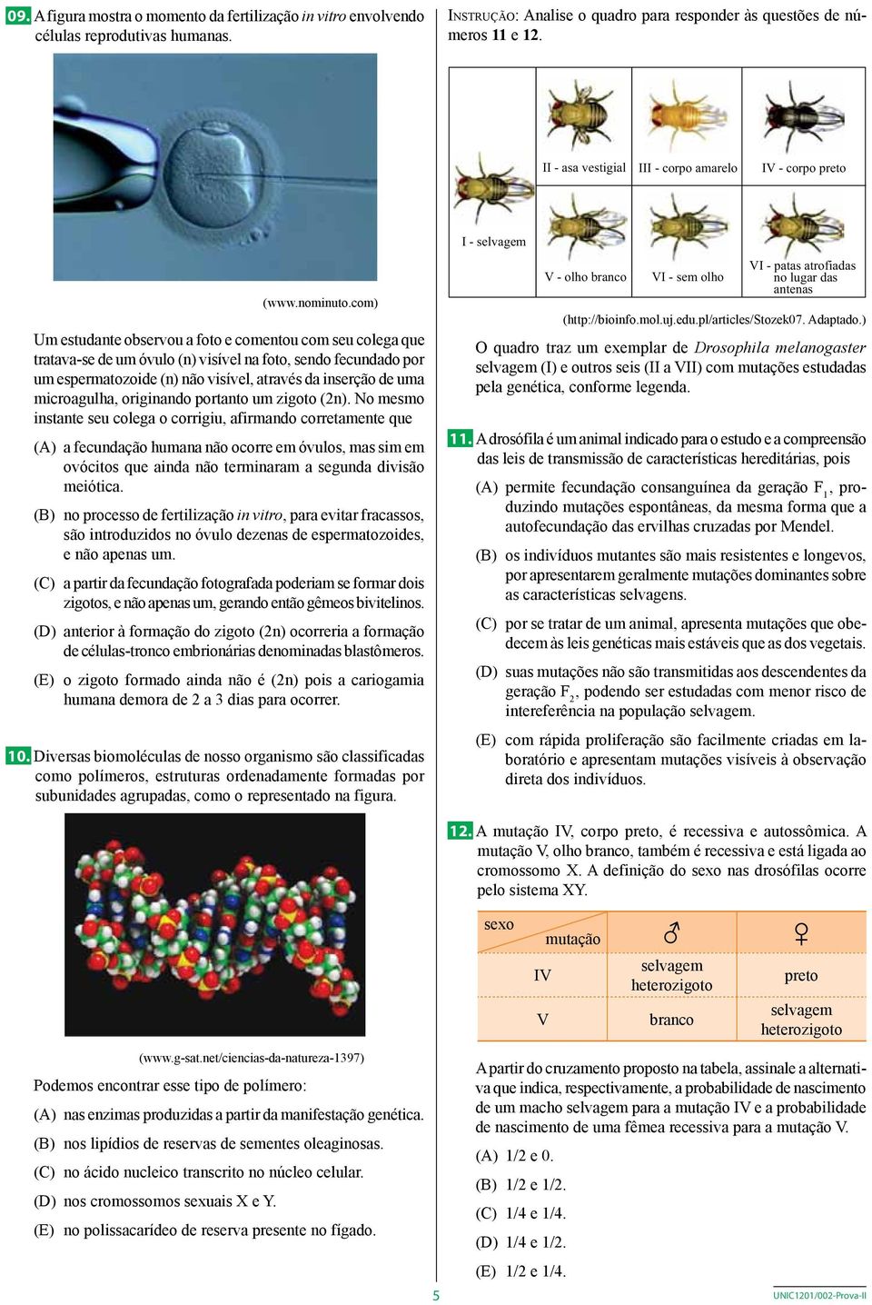 com) Um estudante observou a foto e comentou com seu colega que tratava-se de um óvulo (n) visível na foto, sendo fecundado por um espermatozoide (n) não visível, através da inserção de uma