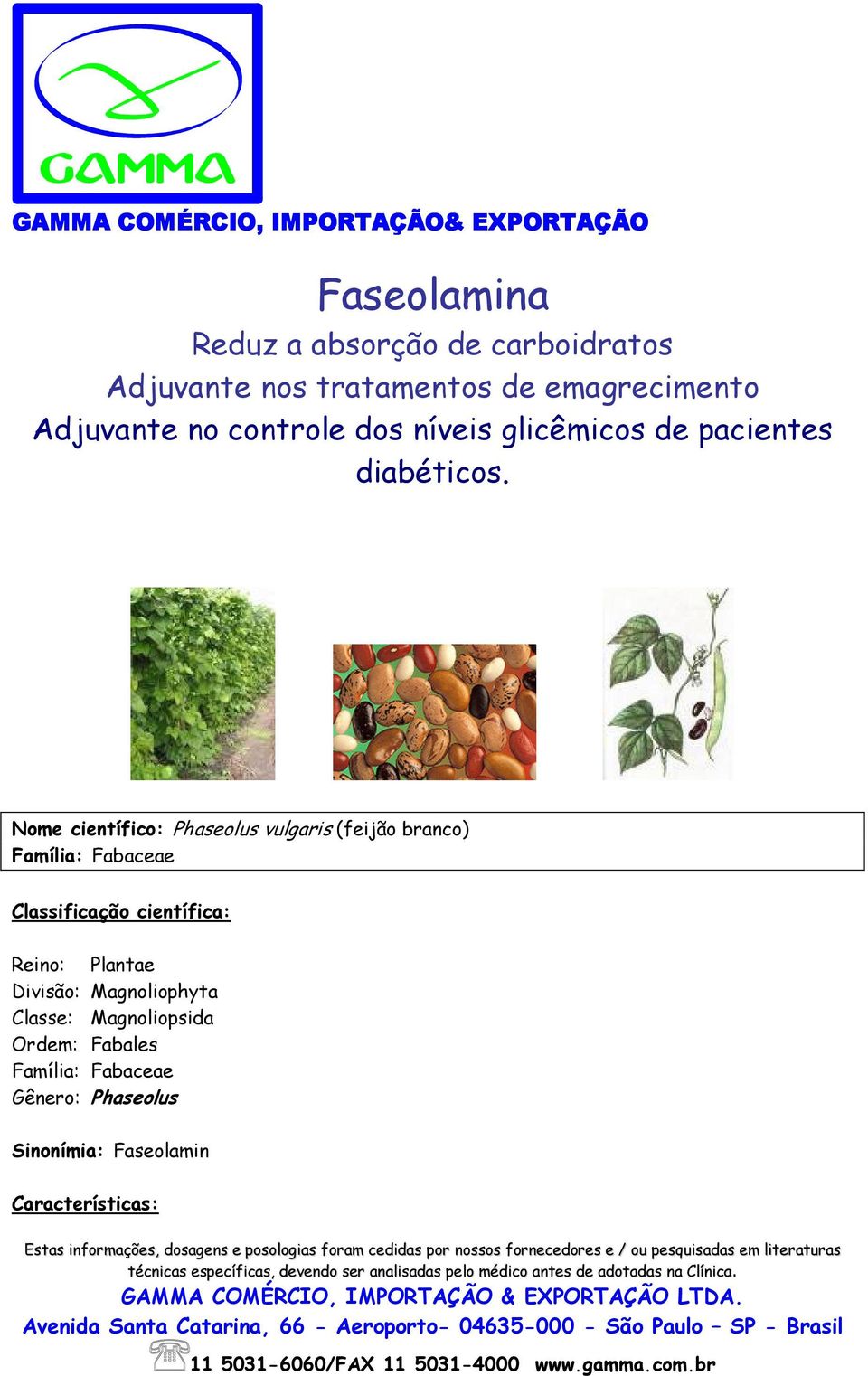 Nome científico: Phaseolus vulgaris (feijão branco) Família: Fabaceae Classificação científica: