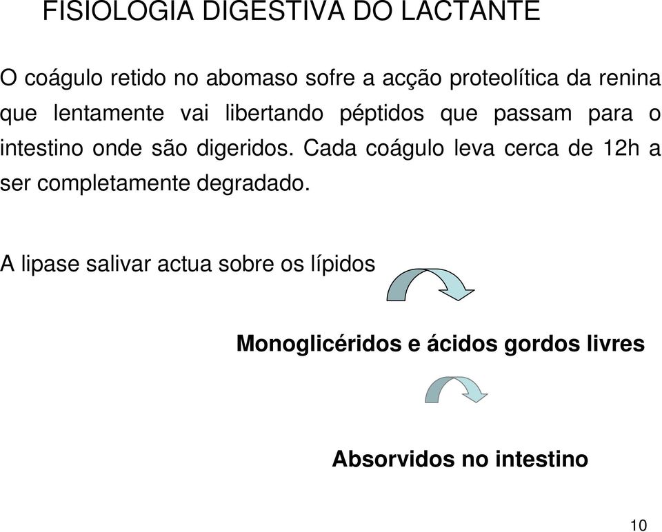 digeridos. Cada coágulo leva cerca de 12h a ser completamente degradado.