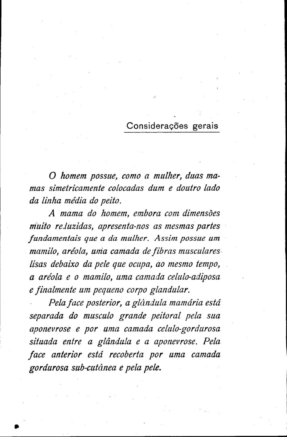 Assim possue um mamilo, areola, uma camada de fibras musculares lisas debaixo da pele que ocupa, ao mesmo tempo, a areola e o mamilo, uma camada celulo-adiposa e finalmente um