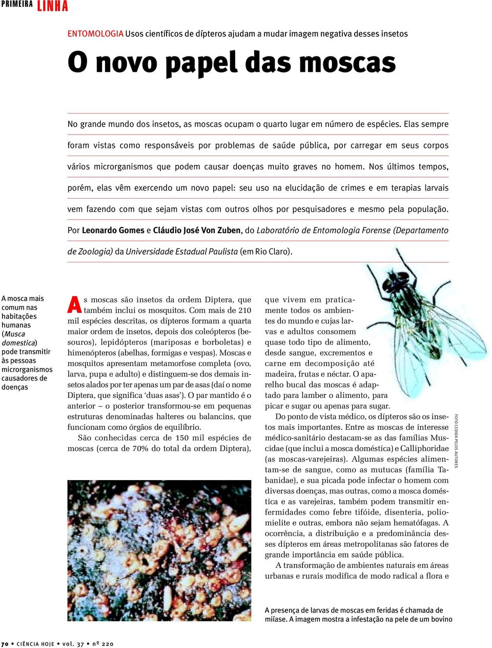 Nos últimos tempos, porém, elas vêm exercendo um novo papel: seu uso na elucidação de crimes e em terapias larvais vem fazendo com que sejam vistas com outros olhos por pesquisadores e mesmo pela