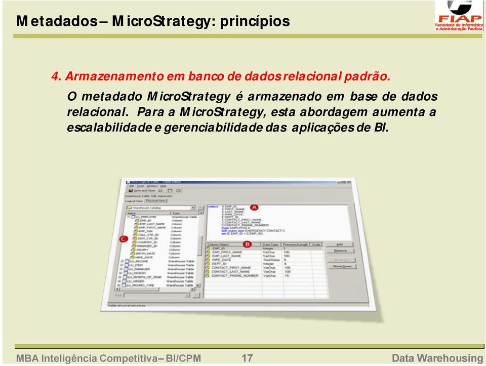 O metadado MicroStrategy é armazenado em base de dados relacional.