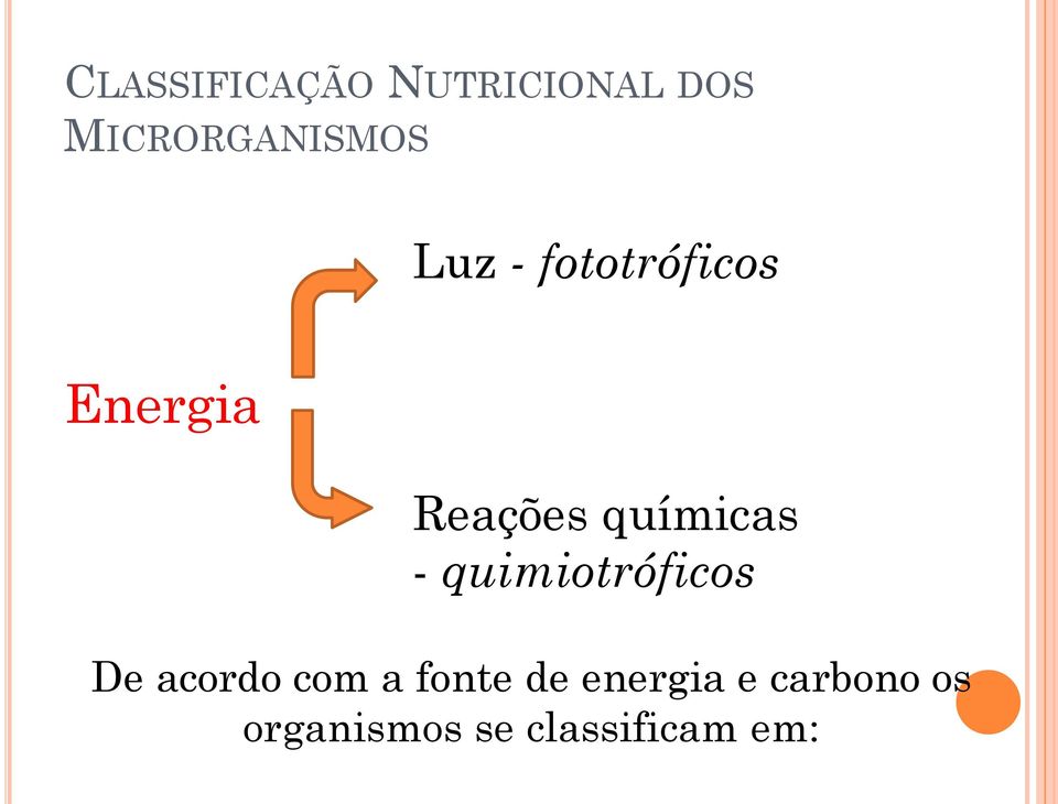 quimiotróficos De acordo com a fonte de