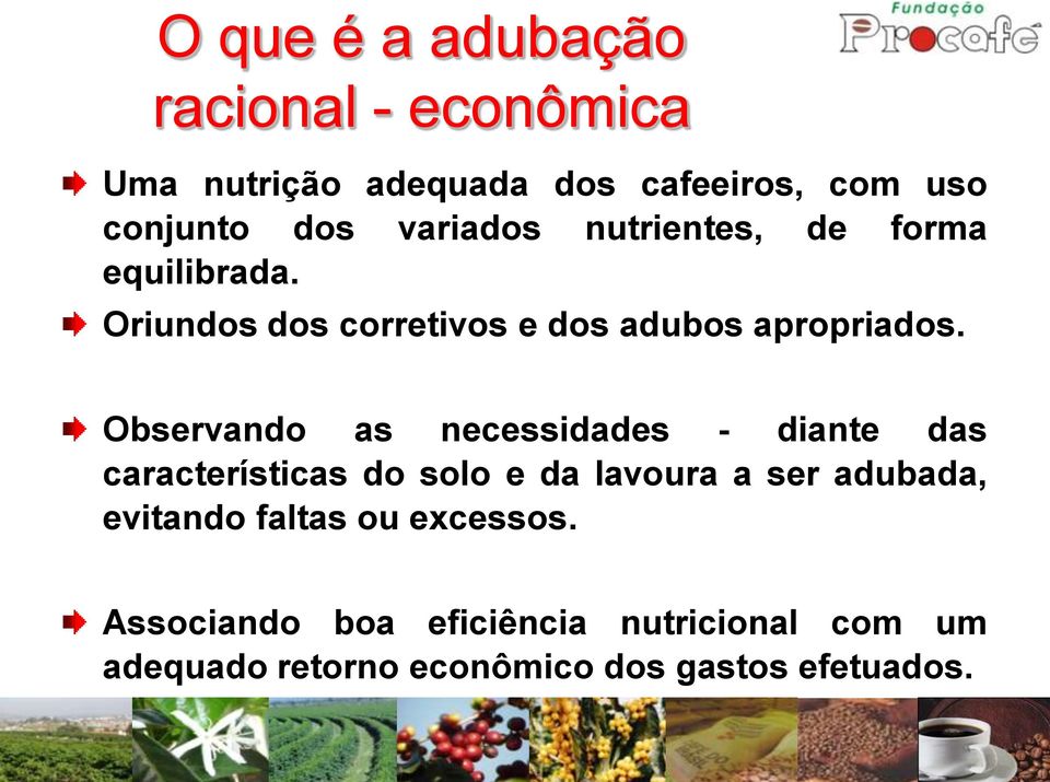 Observando as necessidades - diante das características do solo e da lavoura a ser adubada, evitando