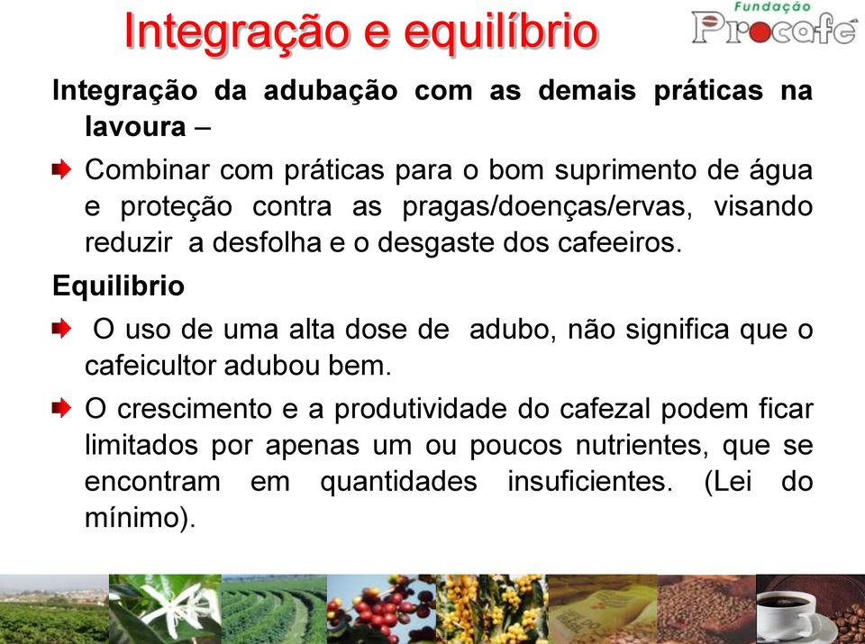 Equilibrio O uso de uma alta dose de adubo, não significa que o cafeicultor adubou bem.