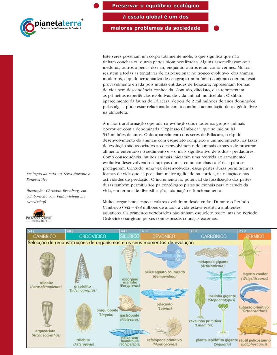 Muitos resistem a todas as tentativas de os posicionar no tronco evolutivo dos animais modernos, e qualquer tentativa de os agrupar num único conjunto coerente está provavelmente errada pois muitas