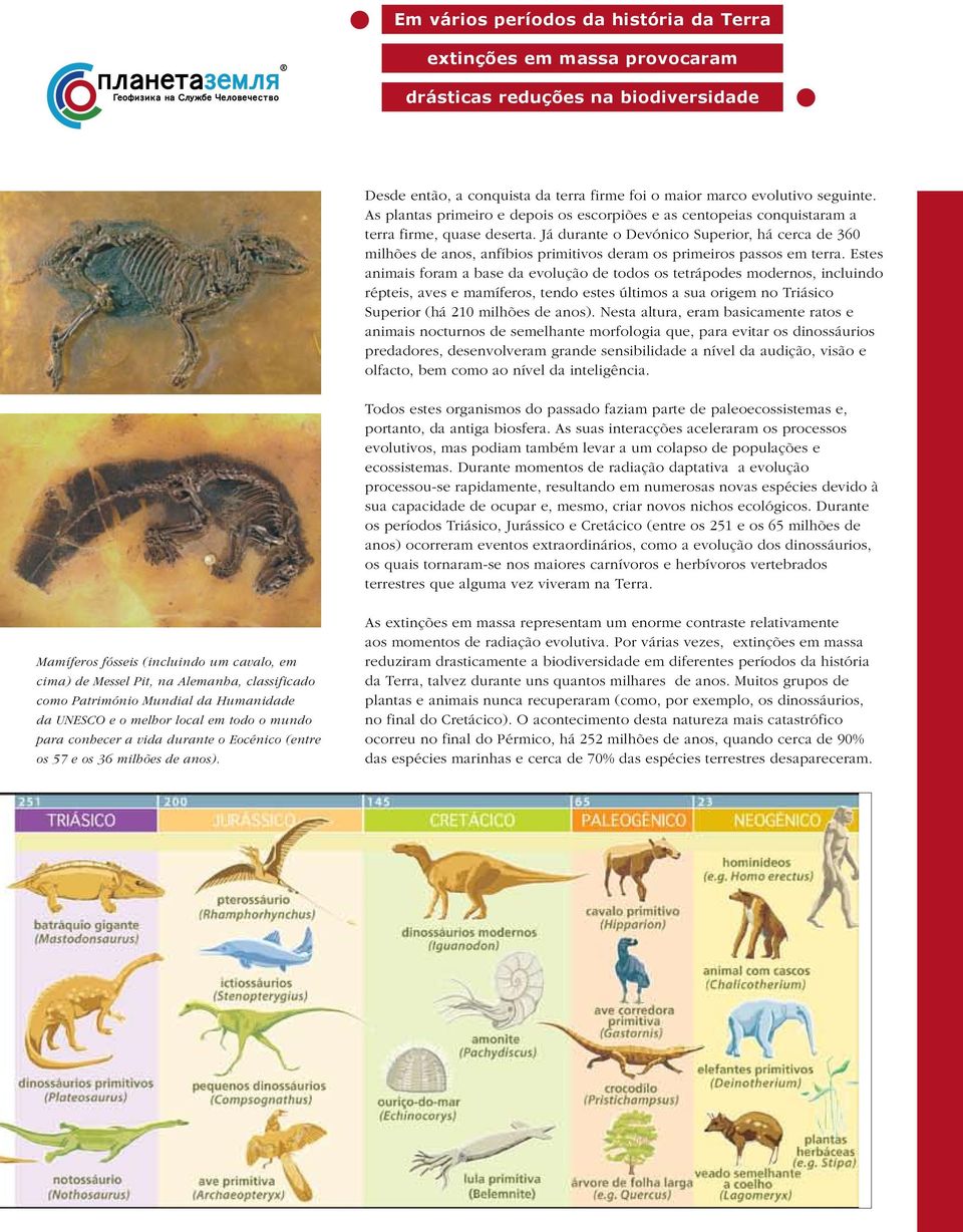 Já durante o Devónico Superior, há cerca de 360 milhões de anos, anfíbios primitivos deram os primeiros passos em terra.