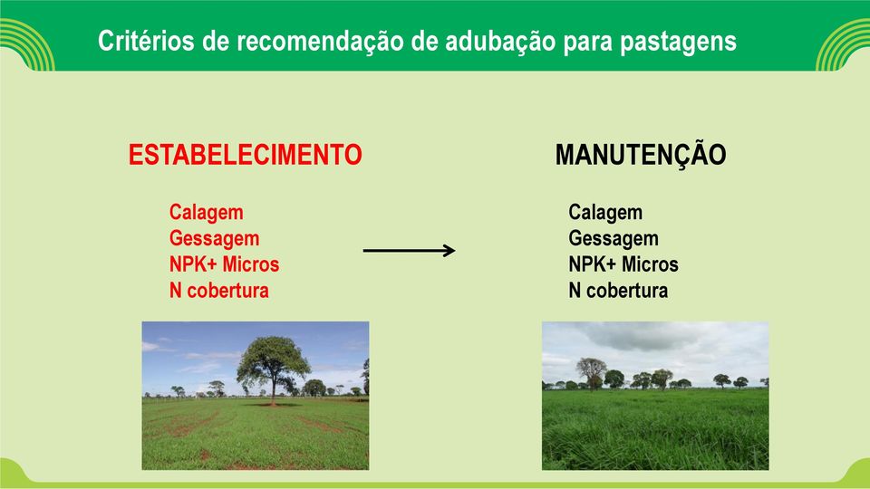 Gessagem NPK+ Micros N cobertura