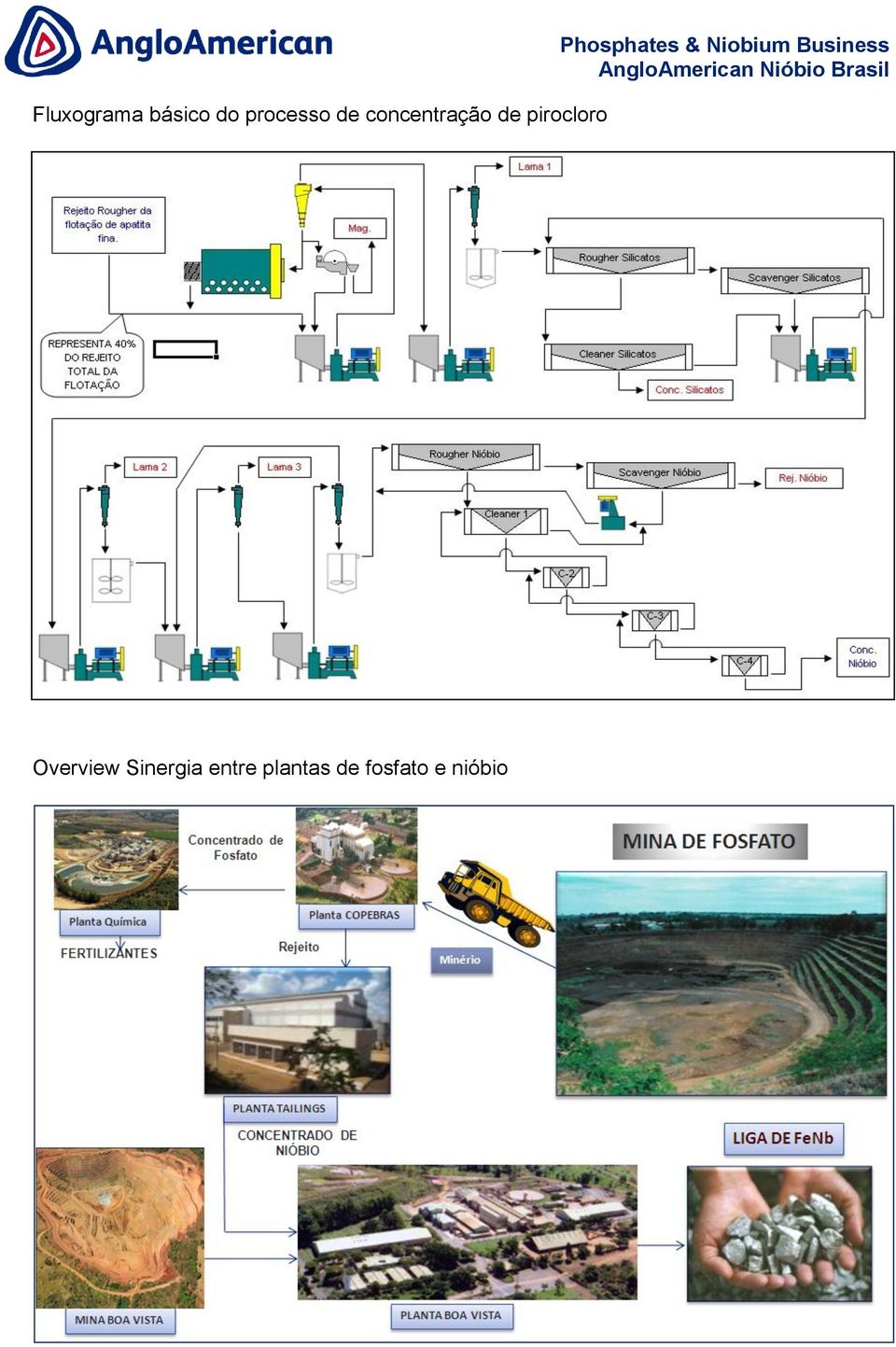 Phosphates & Niobium Business