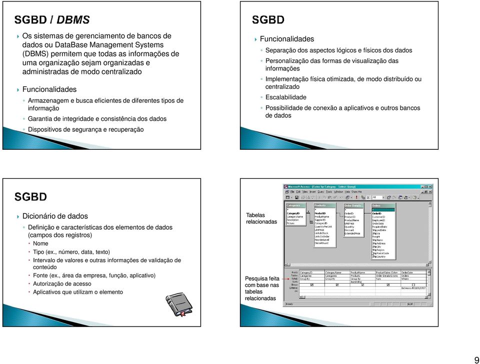 aspectos lógicos e físicos dos dados Personalização das formas de visualização das informações Implementação física otimizada, de modo distribuído ou centralizado Escalabilidade Possibilidade de