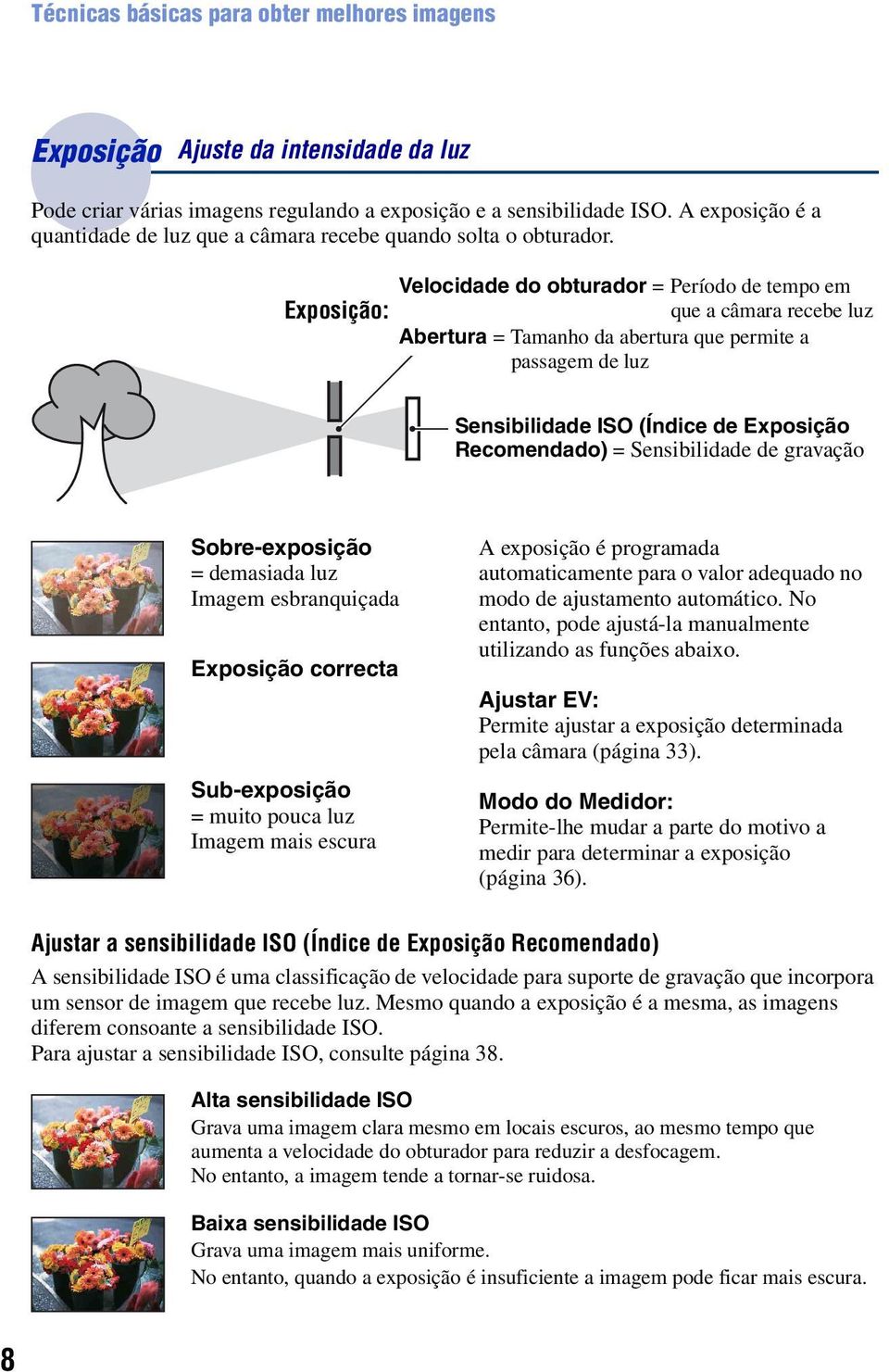 Velocidade do obturador = Período de tempo em Exposição: que a câmara recebe luz Abertura = Tamanho da abertura que permite a passagem de luz Sensibilidade ISO (Índice de Exposição Recomendado) =