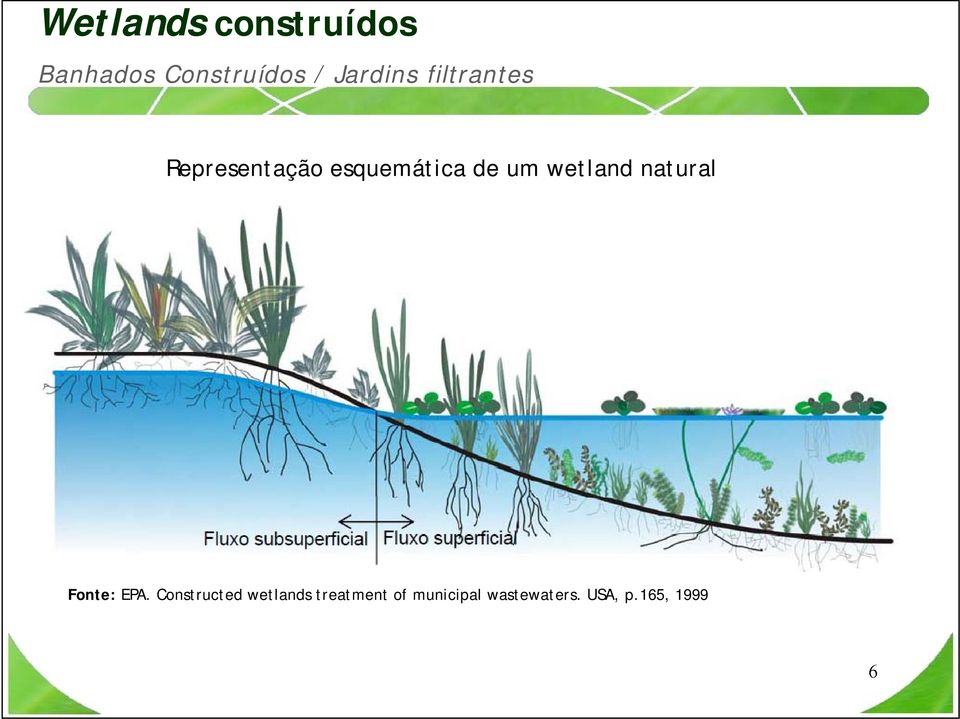 um wetland natural Fonte: EPA.
