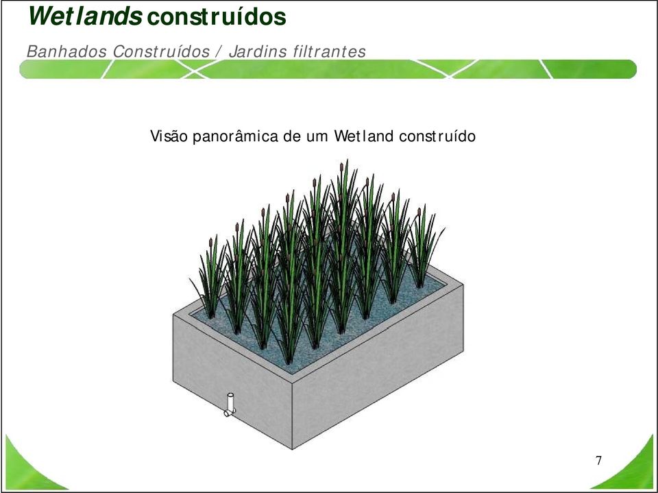 Jardins filtrantes Visão