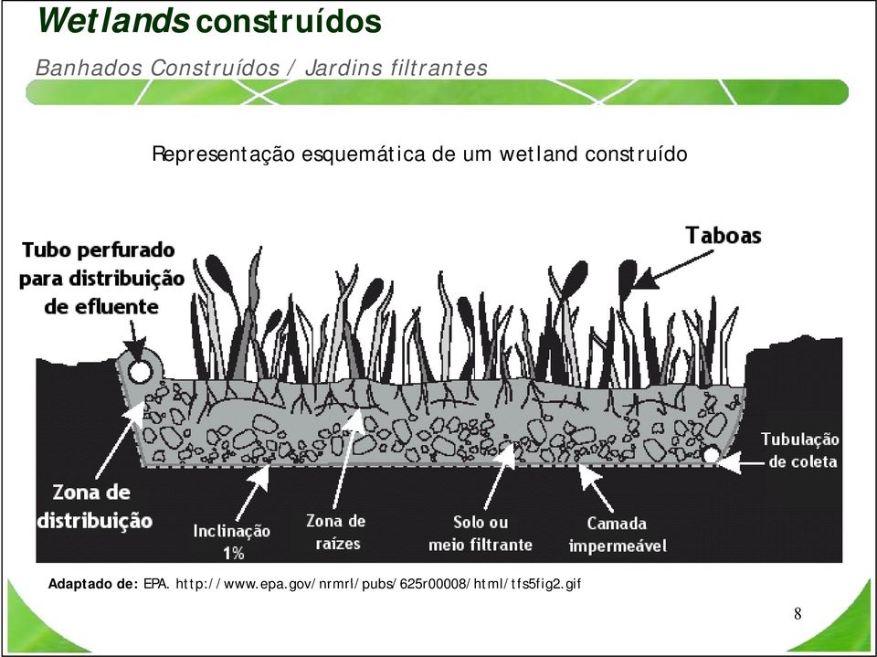 um wetland construído Adaptado de: EPA.