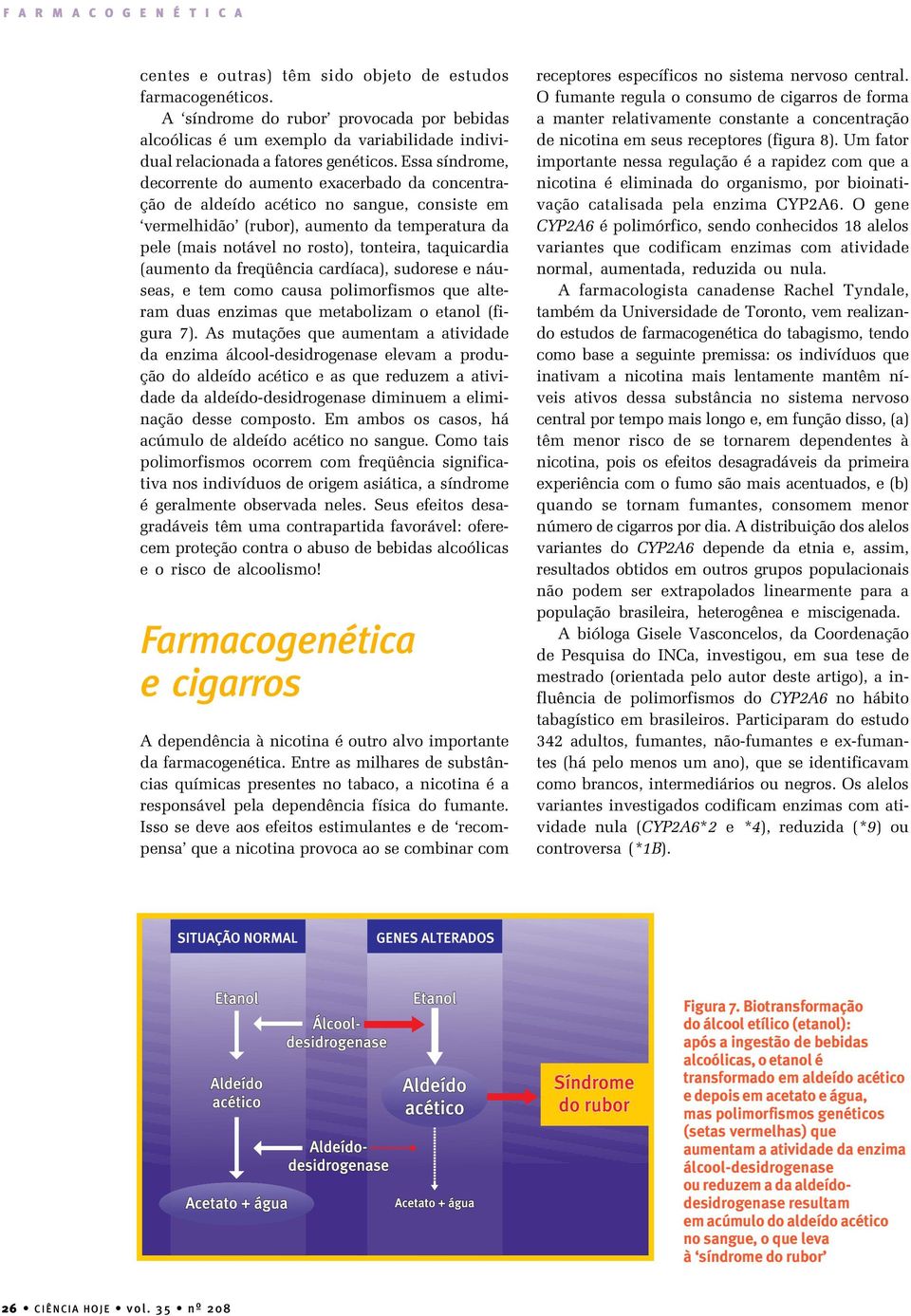 taquicardia (aumento da freqüência cardíaca), sudorese e náuseas, e tem como causa polimorfismos que alteram duas enzimas que metabolizam o etanol (figura 7).