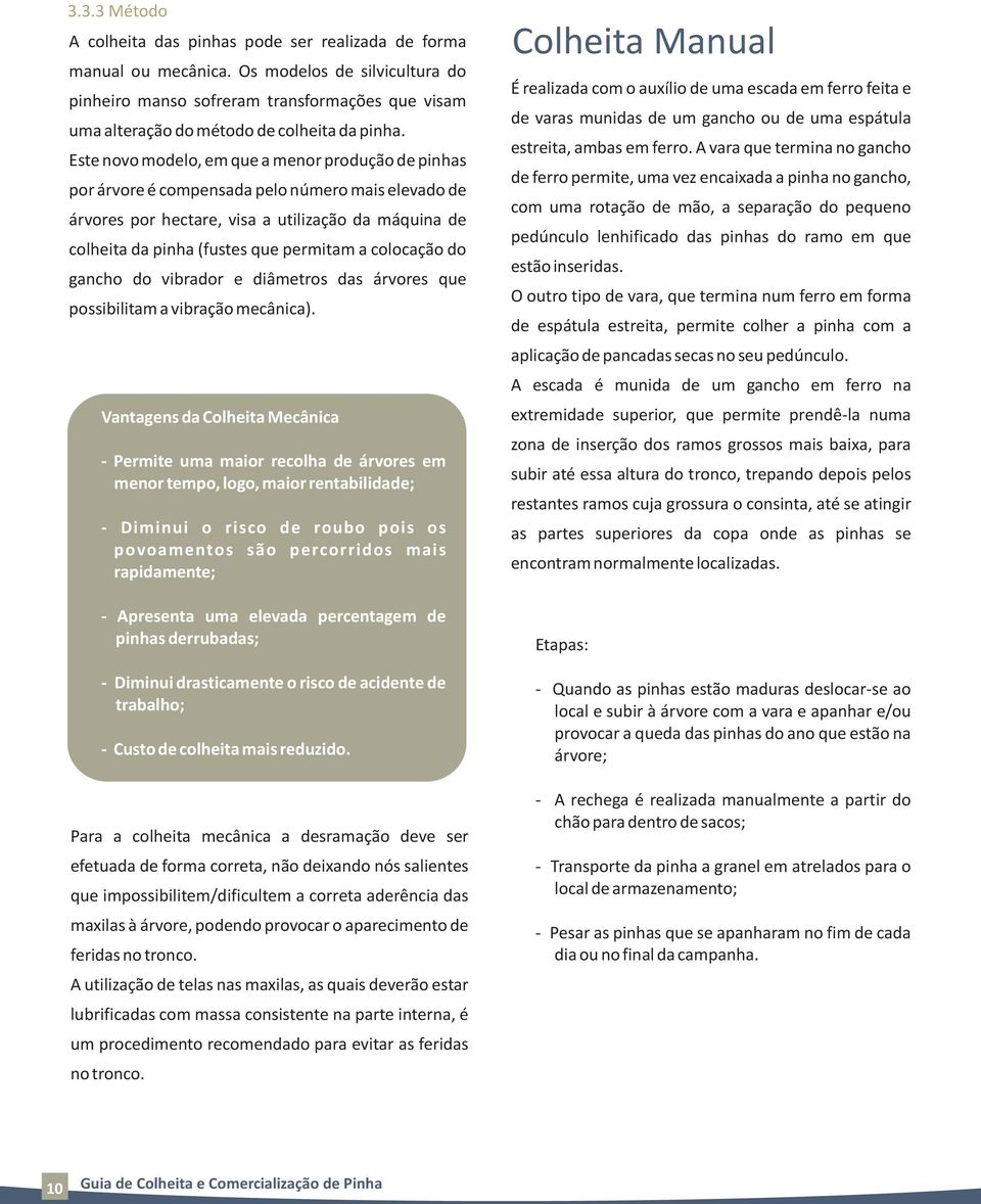 Este novo modelo, em que a menor produção de pinhas por árvore é compensada pelo número mais elevado de árvores por hectare, visa a utilização da máquina de colheita da pinha (fustes que permitam a