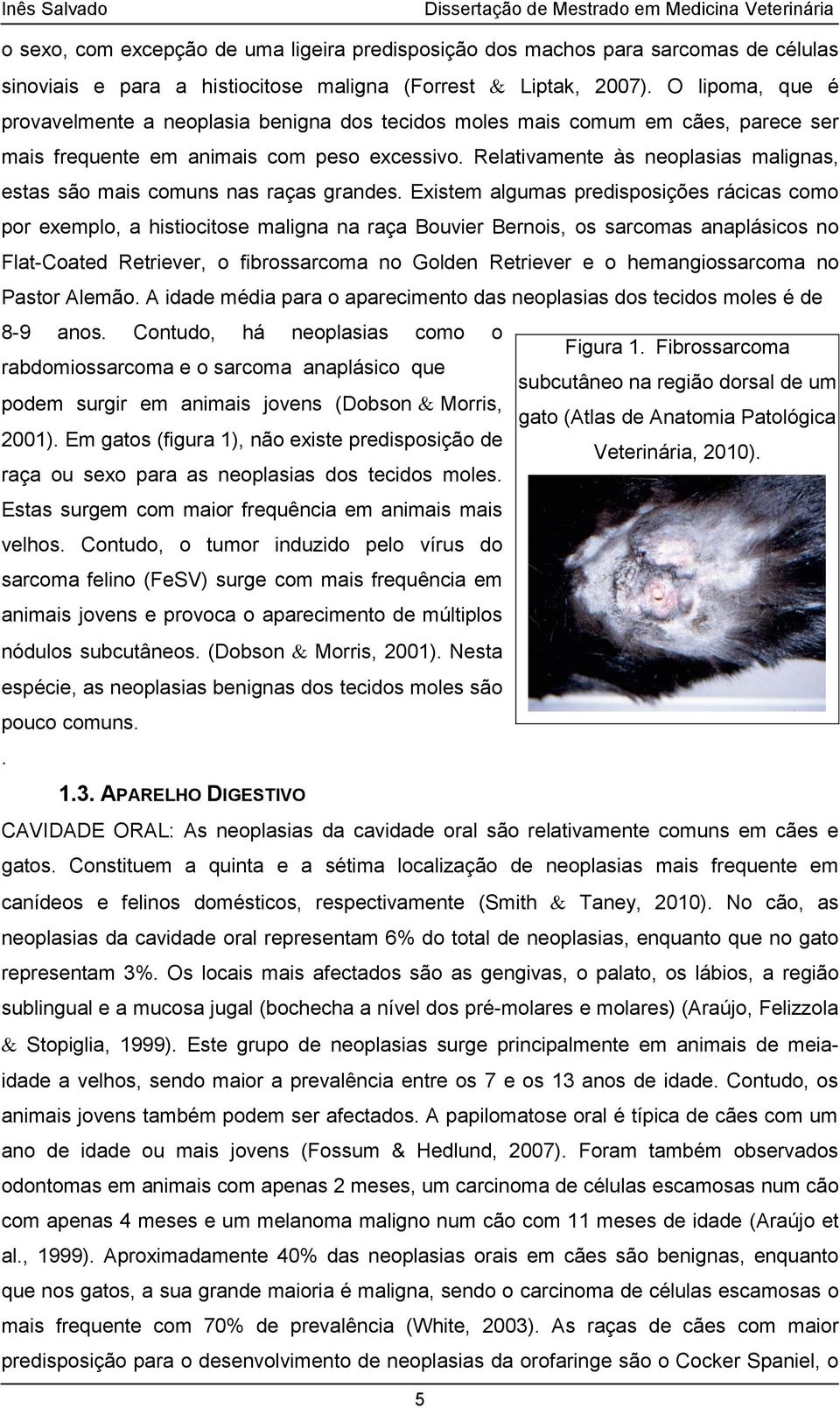 Relativamente às neoplasias malignas, estas são mais comuns nas raças grandes.