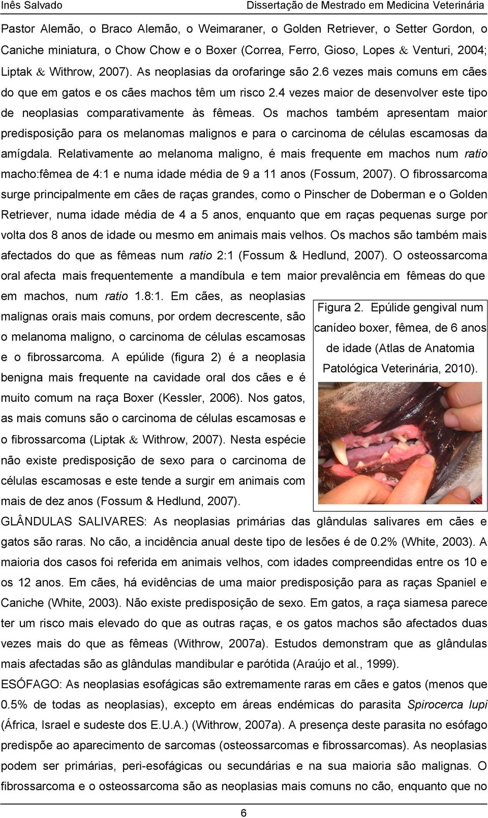 Os machos também apresentam maior predisposição para os melanomas malignos e para o carcinoma de células escamosas da amígdala.